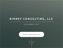 Tablet Screenshot of birneyconsulting.com
